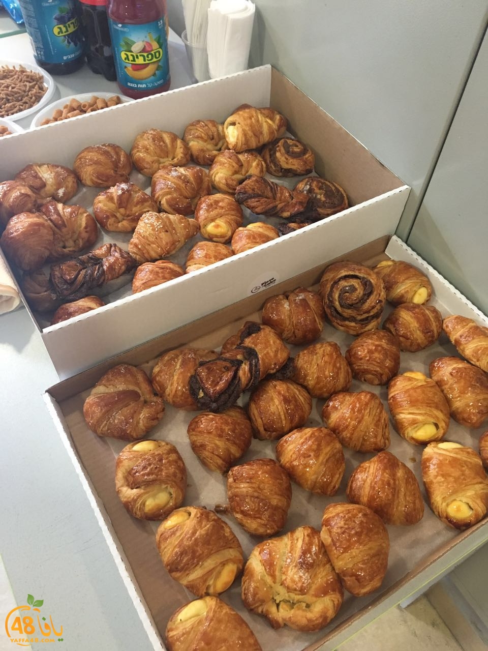 7afl ra2s safnna (9).jpg